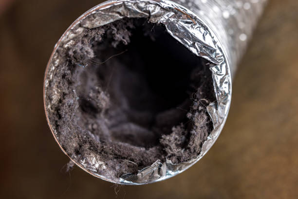 Best HVAC System Cleaning  in Westview, FL