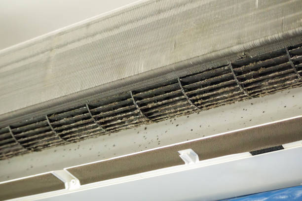 Best Ductwork Cleaning Services  in Westview, FL