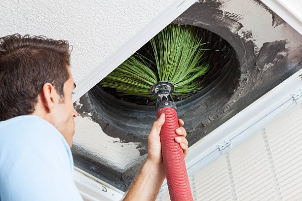 Best Affordable Duct Cleaning Services  in Westview, FL